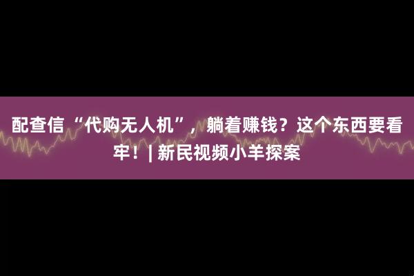 配查信 “代購無人機”，躺著賺錢？這個東西要看牢！| 新民視頻小羊探案